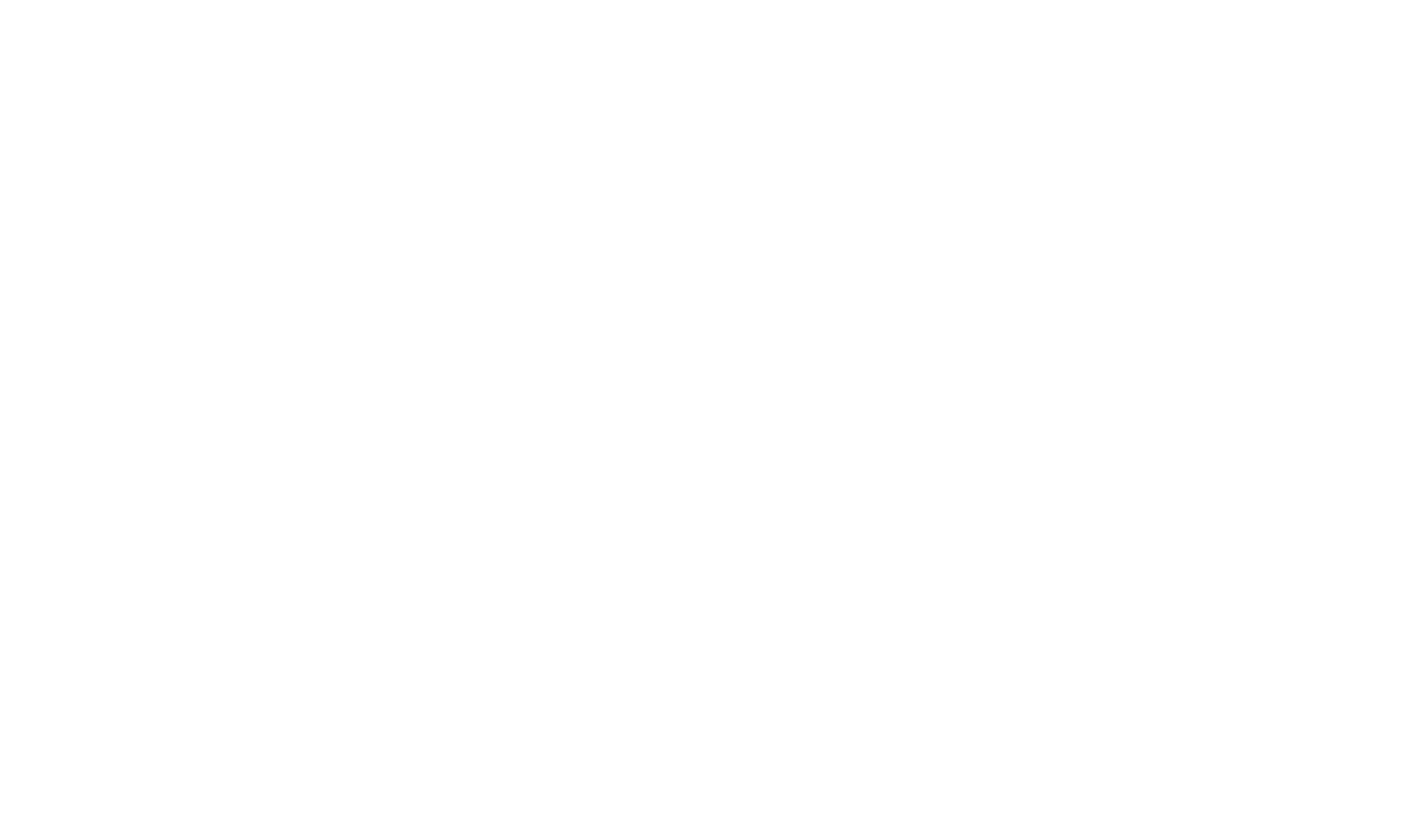 Logo Natindo Cargo